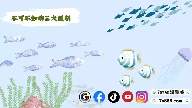 捕魚遊戲技巧